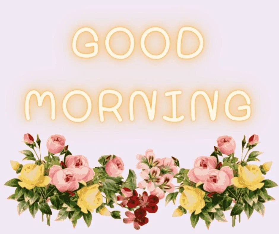 70+ Good Morning Flower Images 49 light purple with grey background red with yellow flowers with Green leaf good morning flower image good morning text with yellow