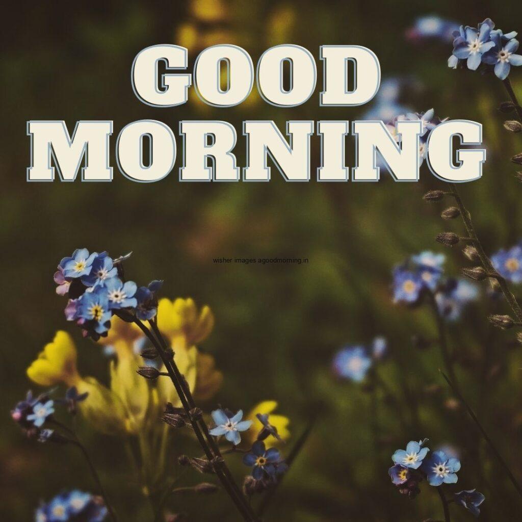 Little blue flower with green background good morning quote is placed with white colour