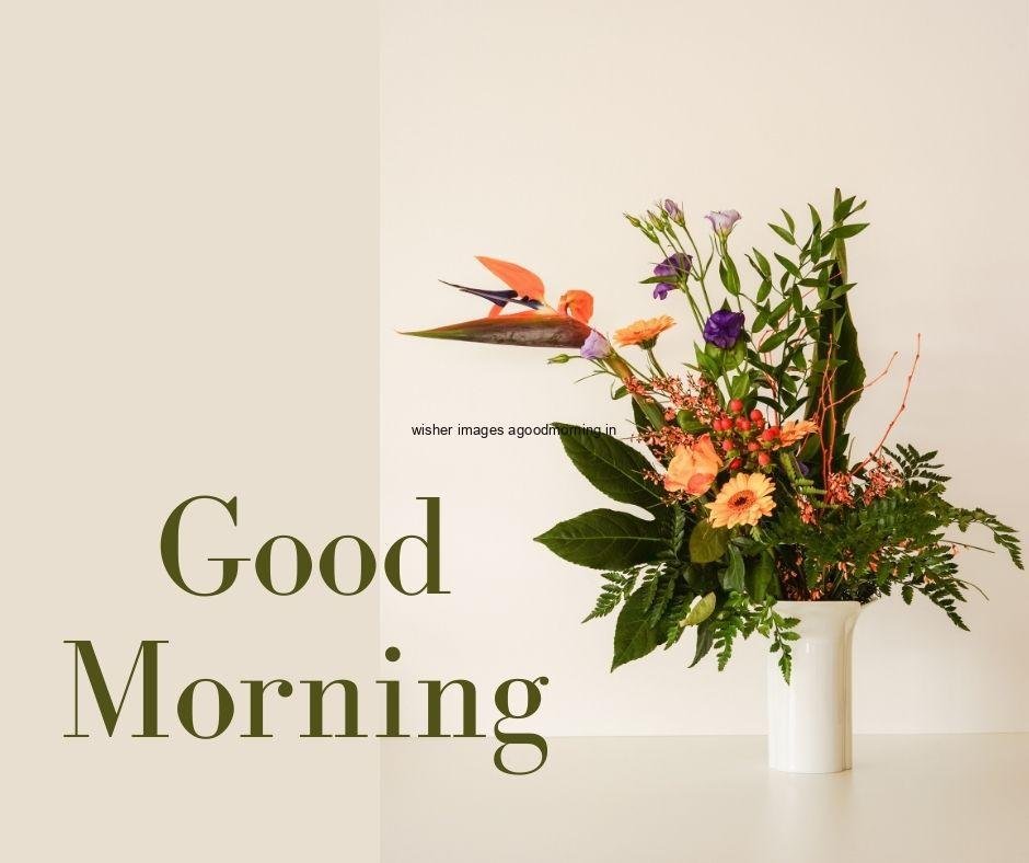 many flowers in the vase good morning flowers quote is placed