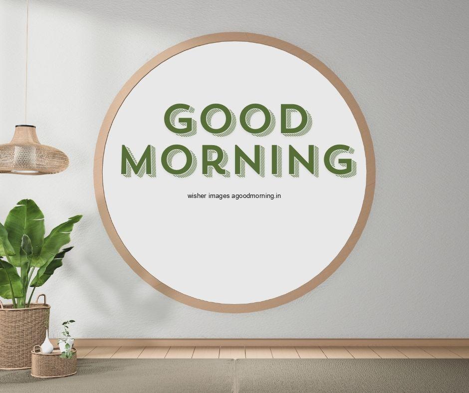 mirror with plants grey background with green text good morning images