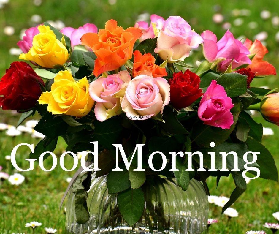 multiple-flowers-with-glass-vase-good-morning-flower-images 60+ Good Morning Flowers images download & share