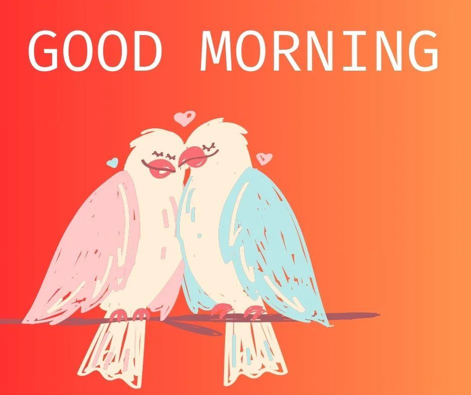 orange with red background with good morning love quote is placed, 2 birds shiting togethers blue and pink bords