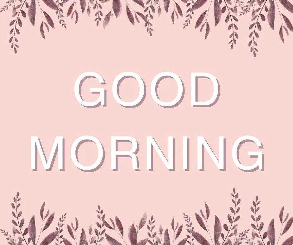 70+ Good Morning Flower Images 53 Pink background purple leaf good morning flower image good morning text with white