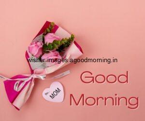 HD 60+ Good Morning Images For download 27 pink background with red text good morning image with pink rose with leaf