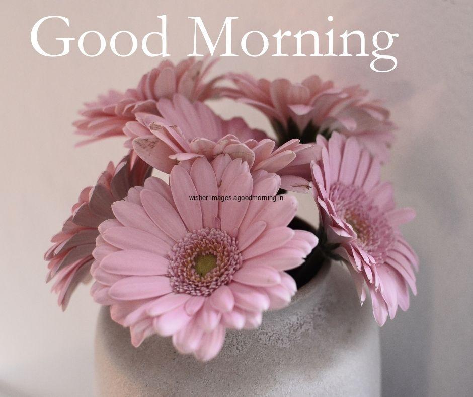 pink-flowers-in-white-vase-good-morning-flower-quote-is-placed 60+ Good Morning Flowers images download & share