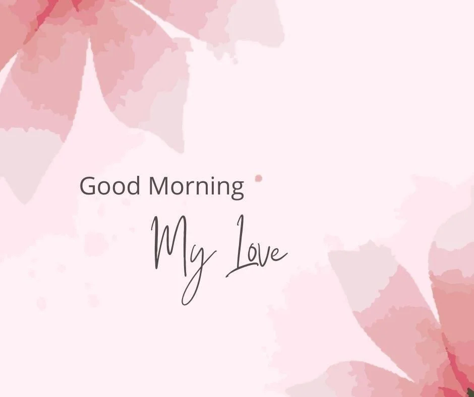 Pink flowers pink background good morning my love quote is placed