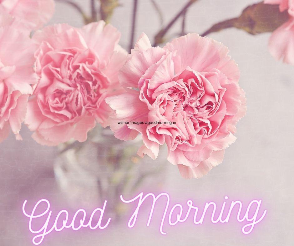 pink flowers with pink good morning flower quote is placed