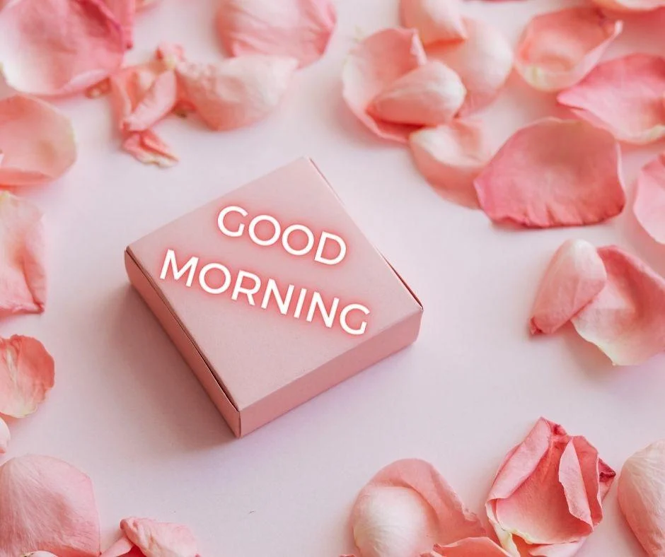 Pink rose with box in the middle with good morning image
