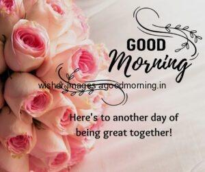 Free 50+ Good Morning flowers images for your loved ones 15 pink rose with grey background good morning quote is placed with lovely quote