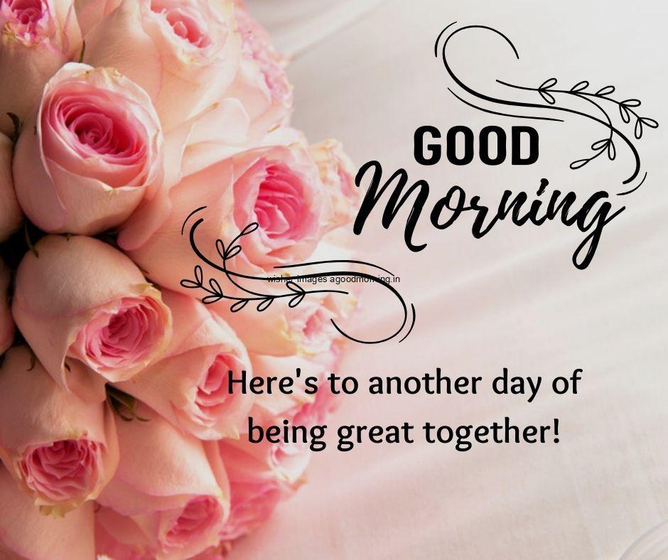 Free 50+ Good Morning flowers images for your loved ones 9 pink rose with grey background good morning quote is placed with lovely quote