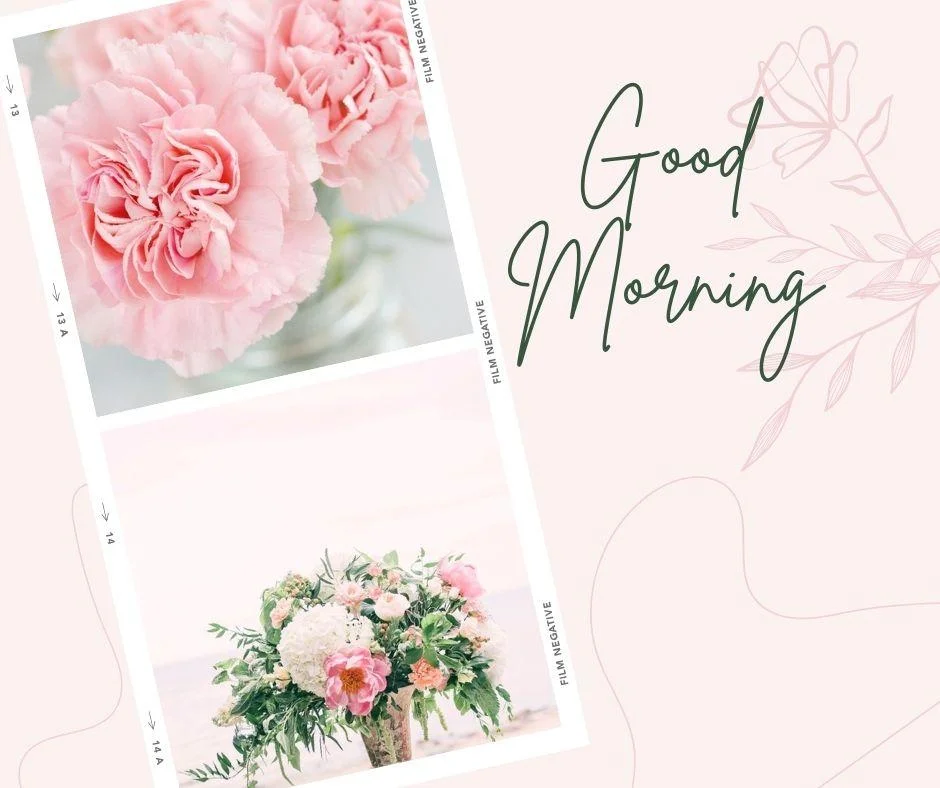 Pink rose with white rose good morning quote is placed