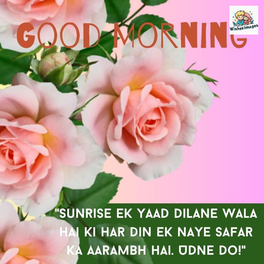 Pink roses with green leaf and good morning quote is placed