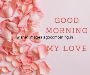 50+ Good Morning Love HD Images Download & share 20 pink roses with pink background good morning quote is placed for girlfriends