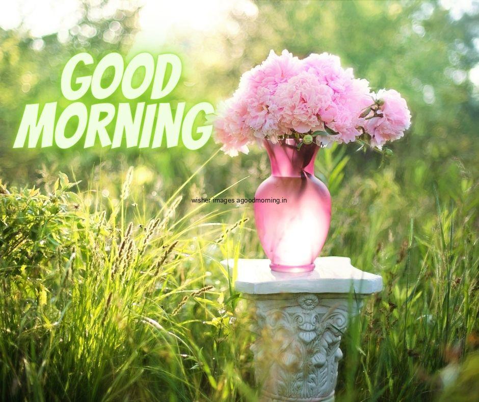 pink-vase-with-pink-flowers-green-background-good-morning-flower-images 60+ Good Morning Flowers images download & share