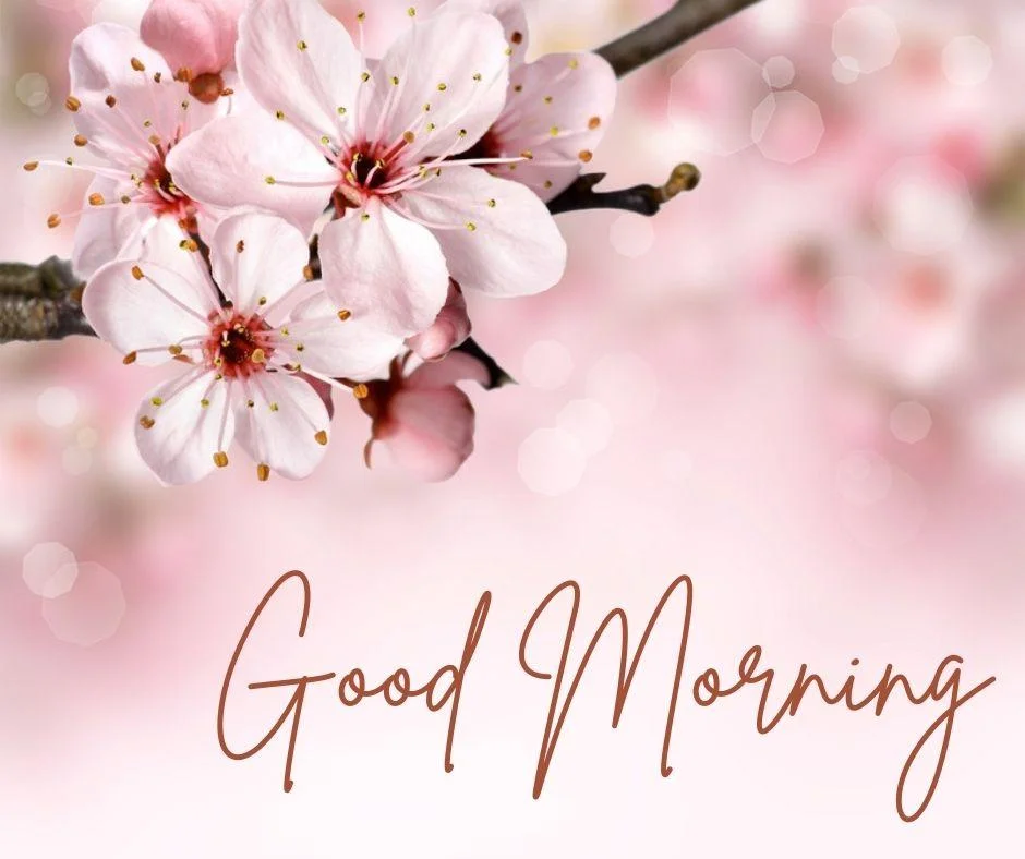 Pink with purple colour background setup with flower good morning quote is placed