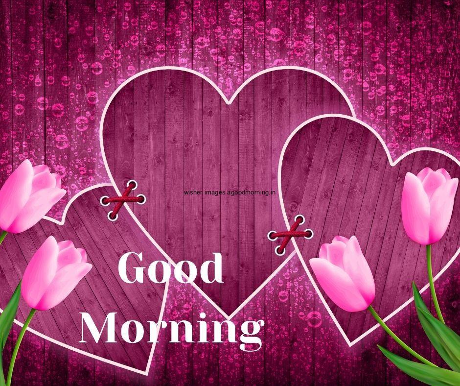 purple-background-with-three-hearts-and-pibks-roses-good-morning-image HD 60+ Good Morning Images For download