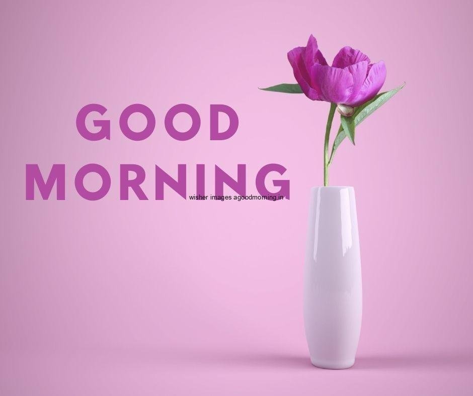 purple-background-with-white-vaes-with-good-morning-quote-is-placed-text-colour-is-purple 50+ Good Morning Love HD Images Download & share