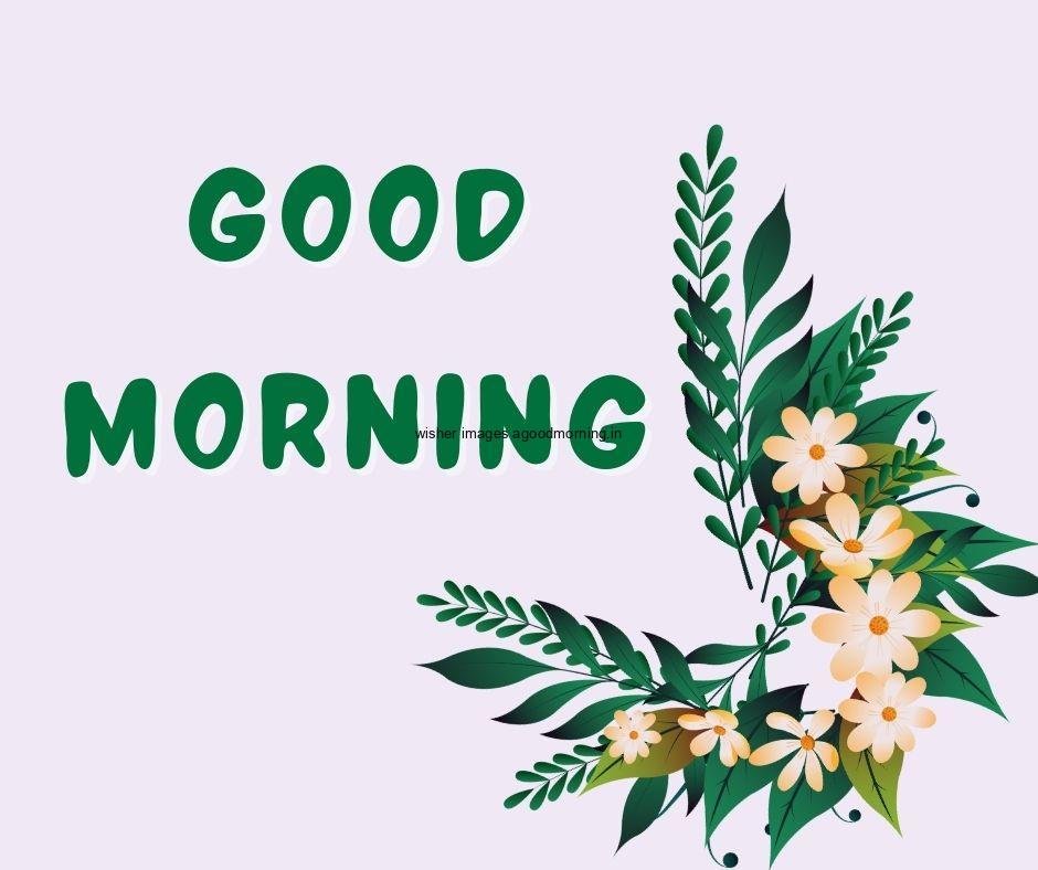 purple grey background yellow flowers with Green leaf good morning flower image good morning text with Green