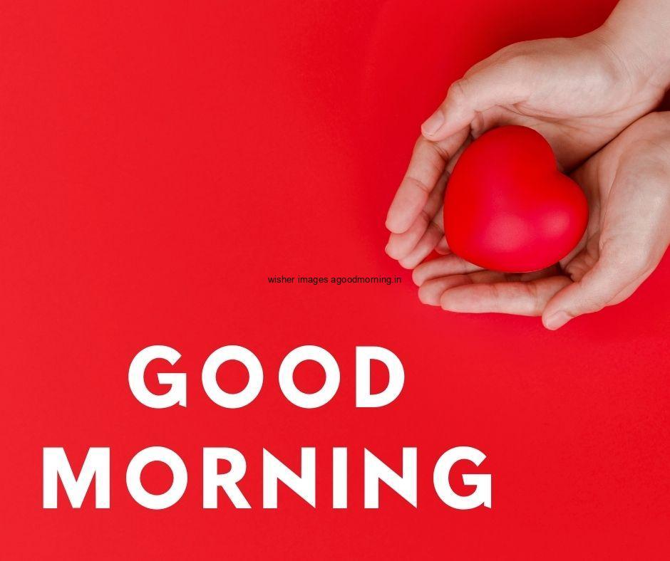 Red background with red hearts with good morning quote is placed text colour is purple