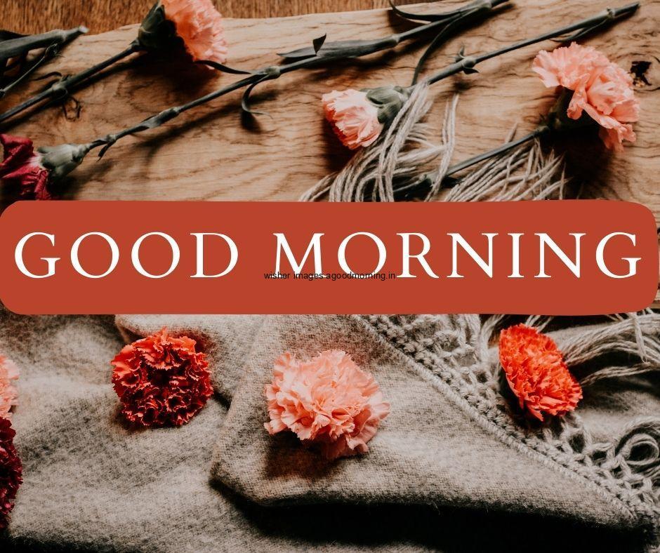 red-flowers-good-morning-quote-is-placed-with-grey-background 50+ Good Morning Love HD Images Download & share