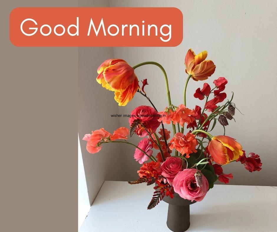 red-flowers-in-the-vase-good-morning-flowers-quote-grey-background 60+ Good Morning Flowers images download & share