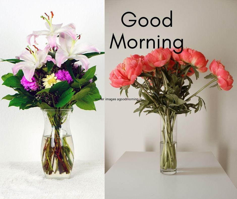 red-flowers-purple-with-white-flowers-in-vase-grey-background-good-morning-flowers-good-morning-quote-is-placed 60+ Good Morning Flowers images download & share