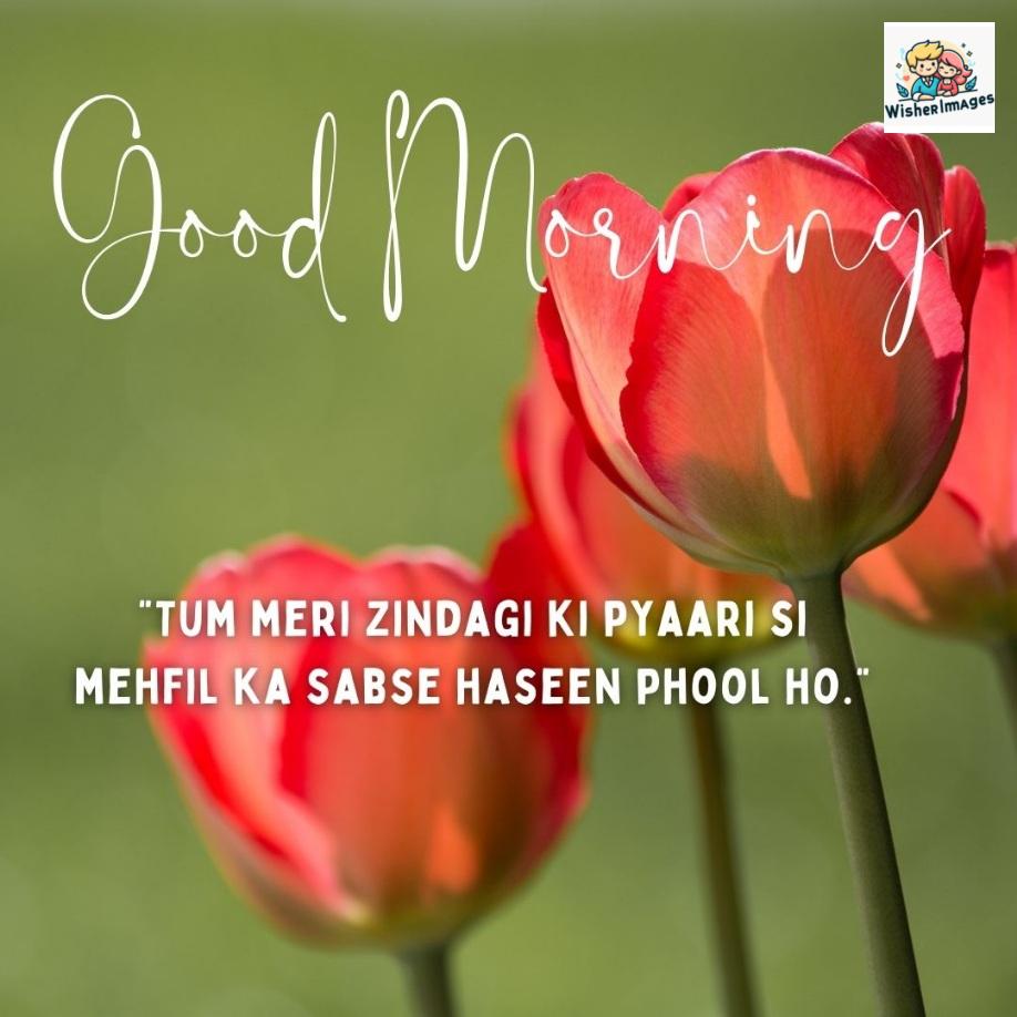 Red flowers with green background, good morning quote is placed