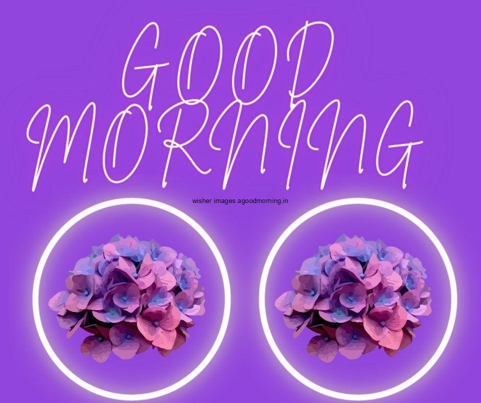 Solid purple background purple flowers in the circle good morning flower image good morning text with white