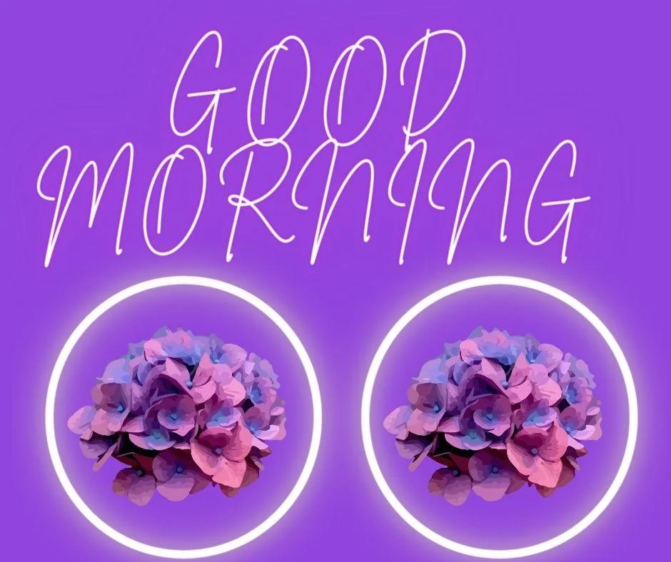 70+ Good Morning Flower Images 62 Solid purple background purple flowers in the circle good morning flower image good morning text with white