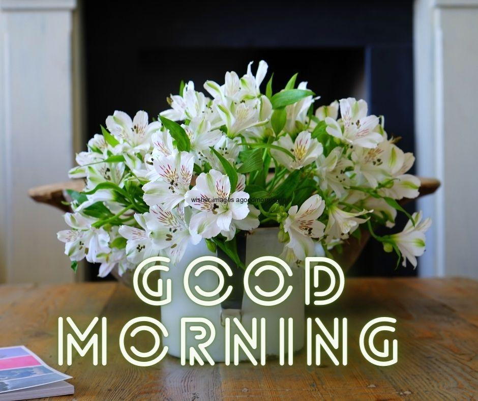 white-flowers-with-brown-base-good-morning-flower-images-good-morning-quote-is-placed 60+ Good Morning Flowers images download & share