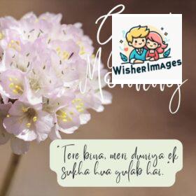 Top 50 good morning flowers images for your loved ones 13 white flowers with dark brown background good morning quote is placed