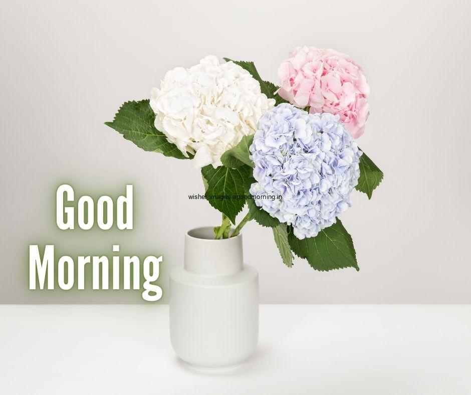 white vase with three type flower with blue, white, pink good morning flower quote is placed