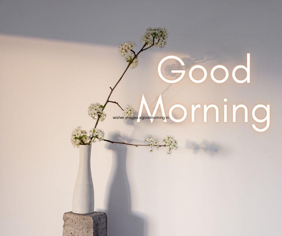 white vase with white flowers grey background good morning flower image