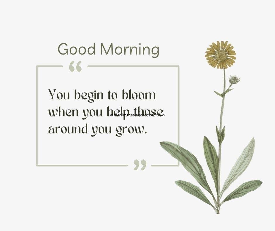 yellow-flowers-and-good-morning-quote-is-placed-with-lovely-quote Free 50+ Good Morning flowers images for your loved ones