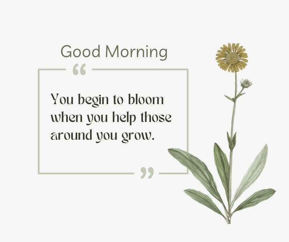 yellow flowers and good morning quote is placed with lovely quote