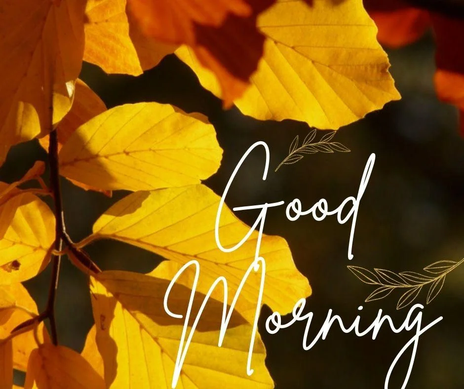 Yellow leaf set on background good morning quote is placed