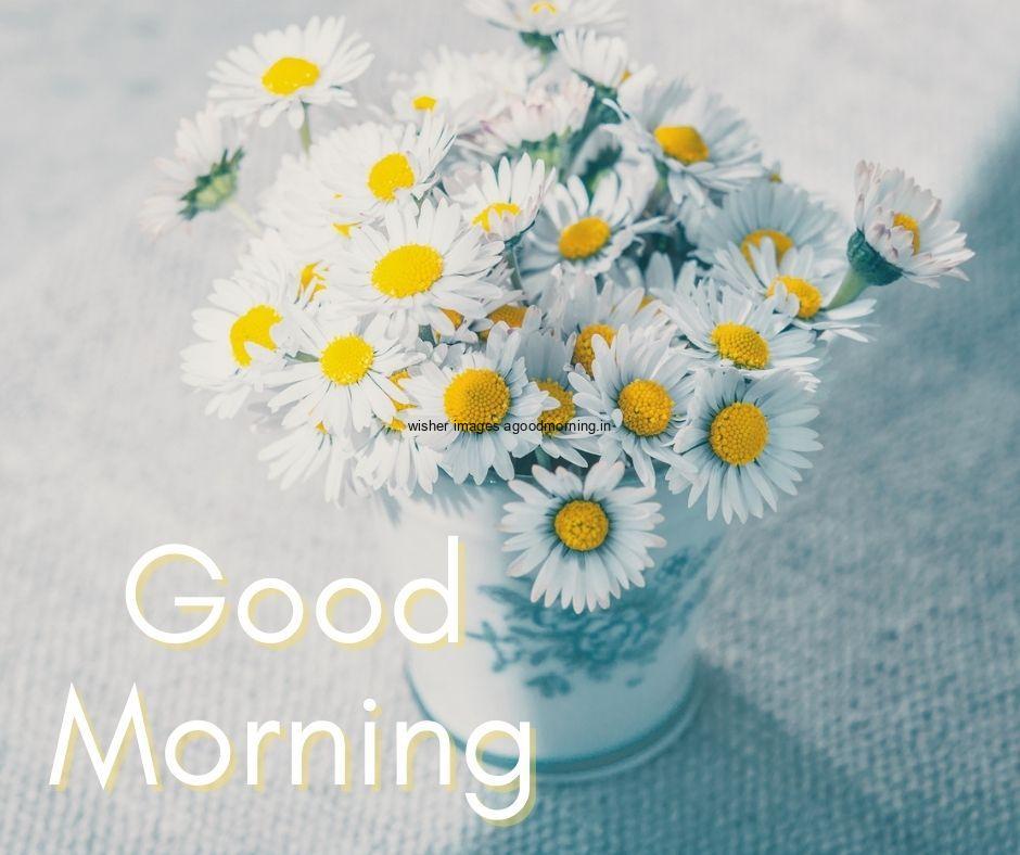 yellow-with-white-flowers-in-the-white-vase-good-morning 60+ Good Morning Flowers images download & share