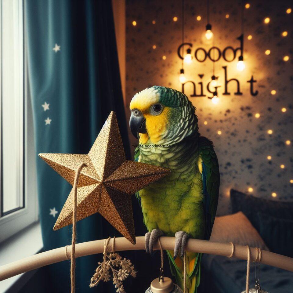 Parrot is seating in the room with star good night images quotes text is placed night vibes