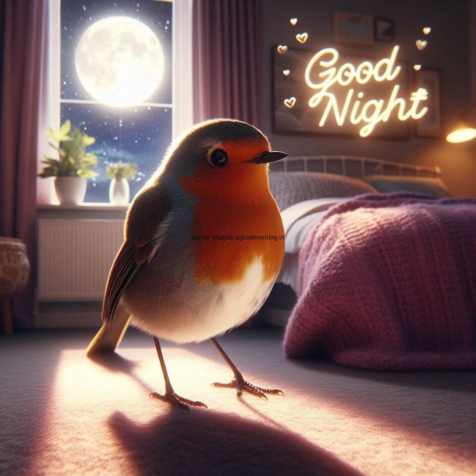 colour robin is seating in the room with star good night images quotes text is placed night vibes