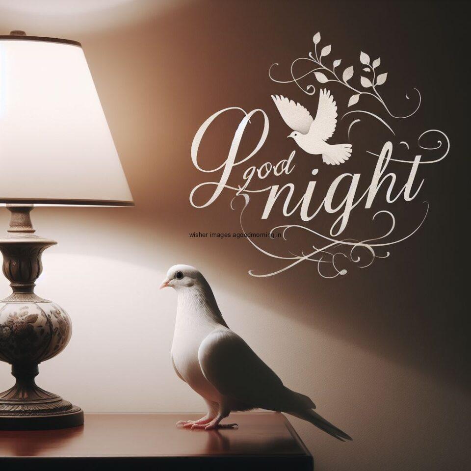 columbidae is seating beside the night lamp in the room with star good night images quotes text is placed night vibes