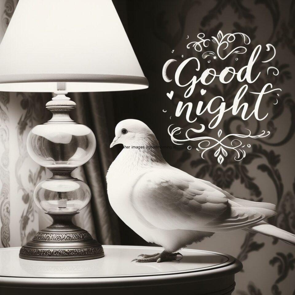 columbidae is seating in the room with star good night images quotes text is placed night vibes