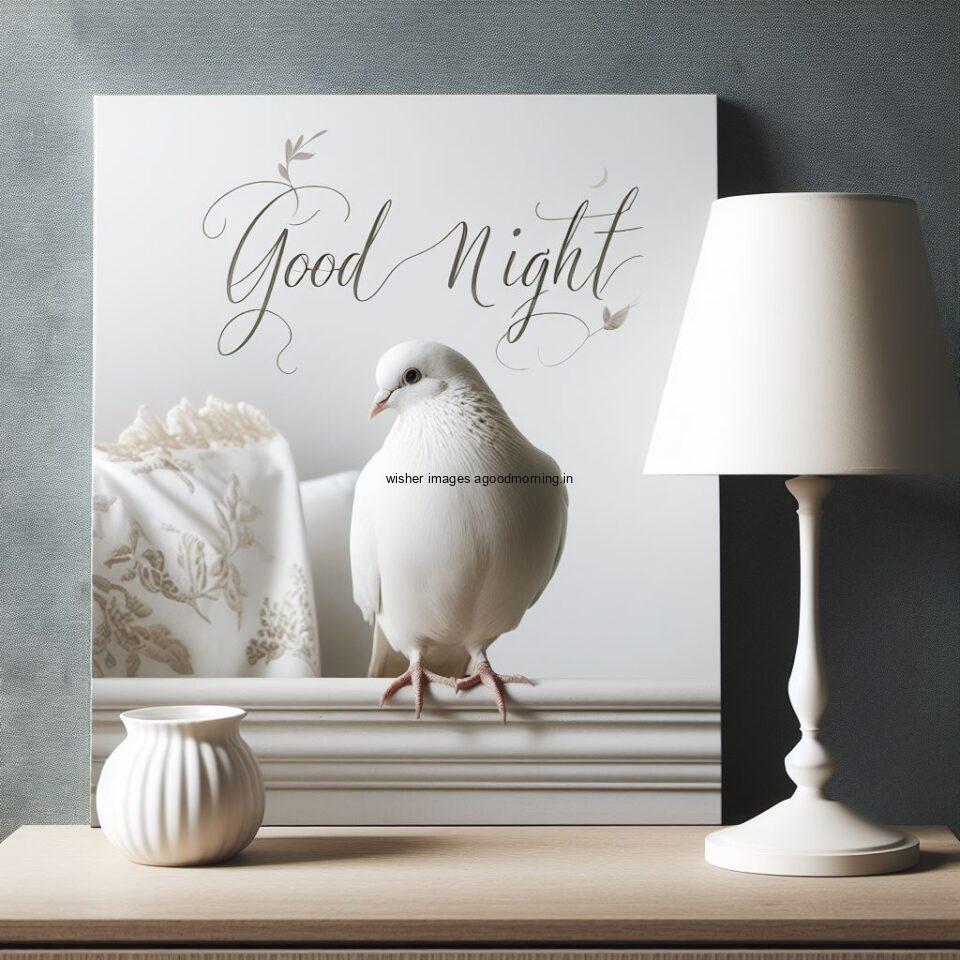 columbidae is seating white night lamp in the room with star good night images quotes text is placed night vibes