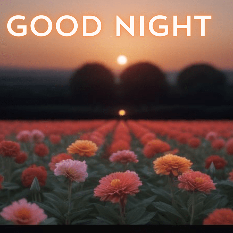 garden-with-mnay-flowers-good-night-images-with-good-night-960x960 50+ HD Good Night Images Free Download