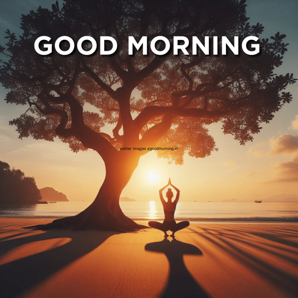 good-morning-image-yoga-images-Green-trees-and-plant-sun-good-morning-images-girl-doing-yoga-sunlight-960x960 50+ HD Good Morning images with yoga images Free download