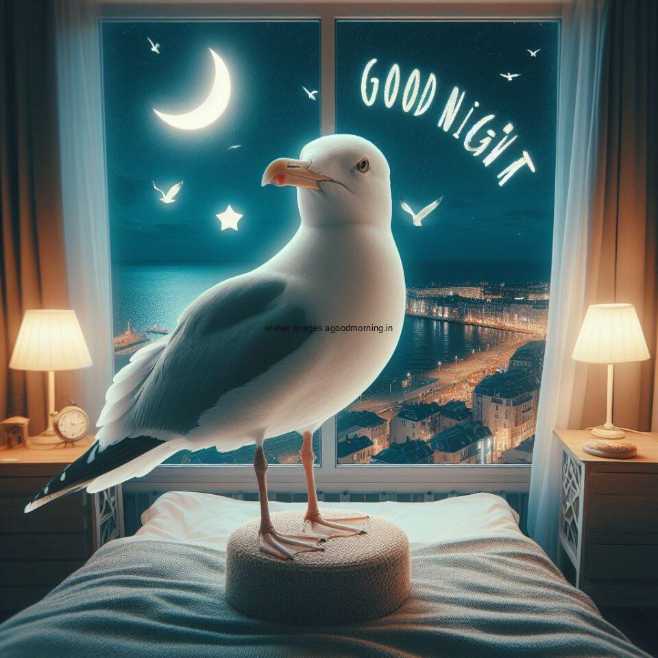 goose is seating in the room moon with star good night images quotes text is placed night vibes