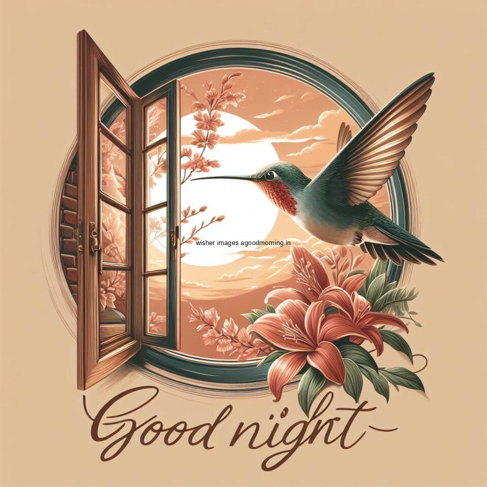 hummingbird in the room with star good night images quotes text is placed night vibes