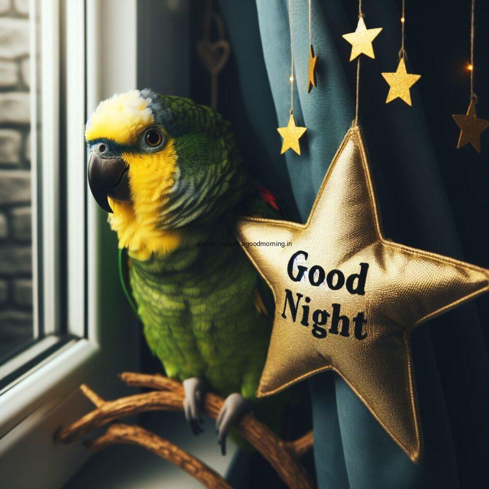 parrot is seating in the room with big star good night images quotes text is placed night vibes