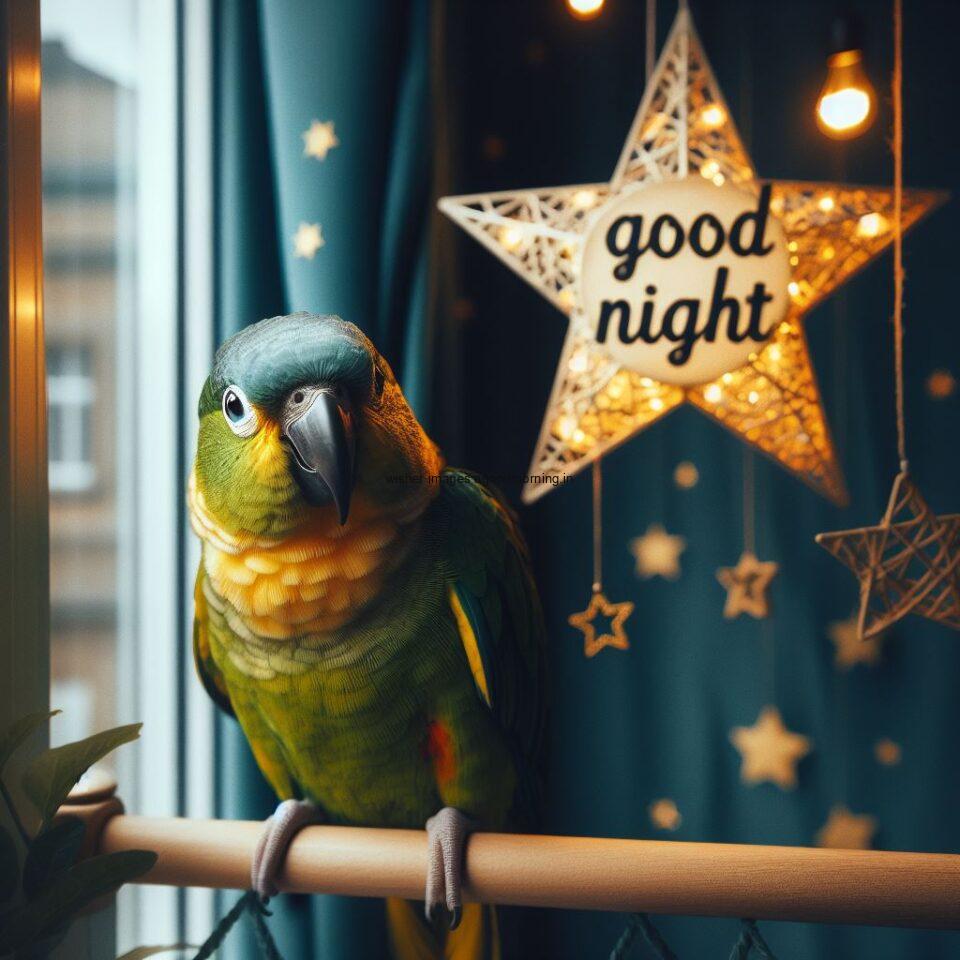 parrot is seating in the room with star good night images quotes text is placed night vibe