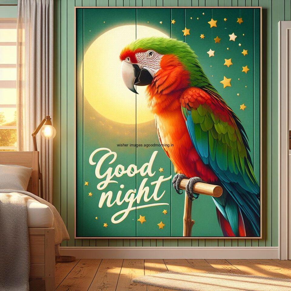 parrot is seating in the room with star good night images quotes text is placed night vibe day