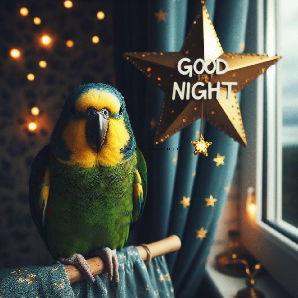 parrot is seating in the room with star good night images quotes text is placed night vibe night